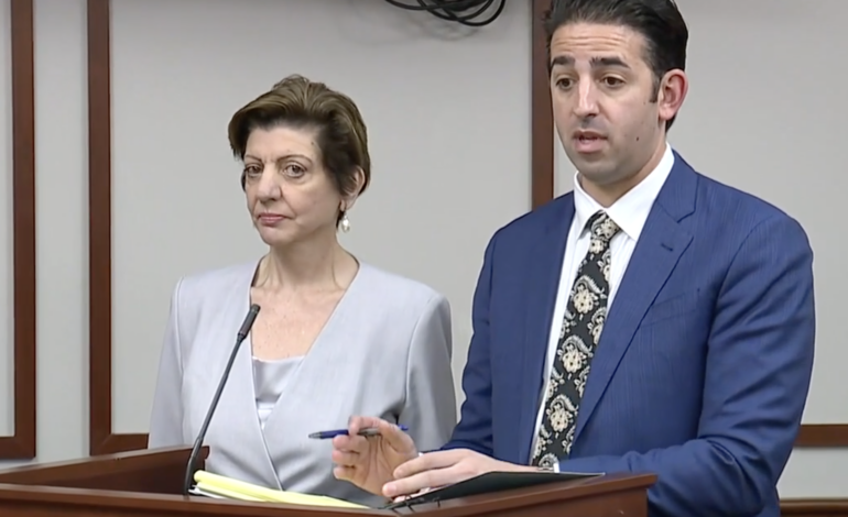 Fay Beydoun pleads not guilty to 16 felony charges in $20 million state grant case