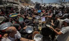 The Palestine industry: The rats of Gaza and the opportunists among us