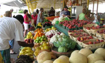 SNAP cuts threaten food security in vulnerable communities, new data show