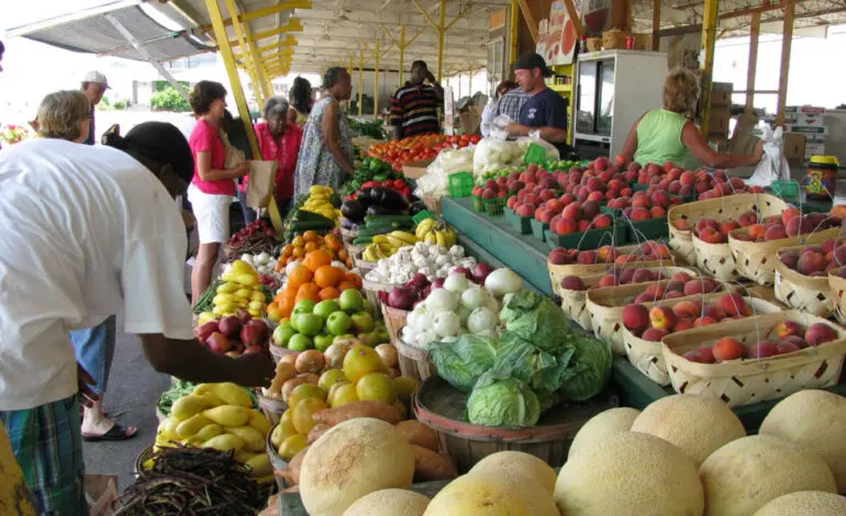 SNAP cuts threaten food security in vulnerable communities, new data show