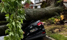 Deadly storms leave six dead as widespread power outages fuel outrage across Metro Detroit