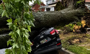 Deadly storms leave six dead as widespread power outages fuel outrage across Metro Detroit