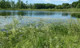 Michigan DNR to auction 97 state-owned properties across Michigan in August