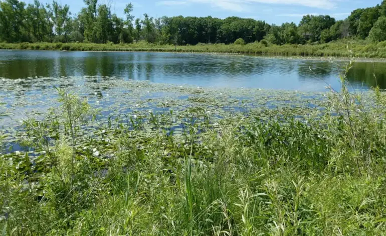 Michigan DNR to auction 97 state-owned properties across Michigan in August