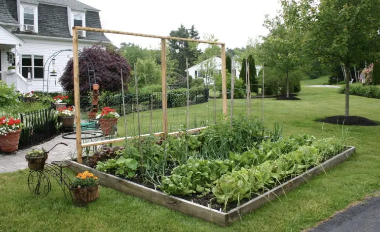 Redford Township approves front-yard vegetable gardens