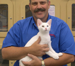 Businesses collaborate on Kitty Klassic Kruise adoption event