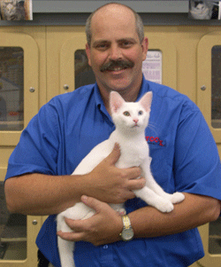 Businesses collaborate on Kitty Klassic Kruise adoption event