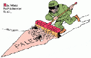 Ethnic cleansing of Palestinians or democratic Israel at work?