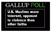 U.S. Muslims more tolerant, opposed to violence than other faiths