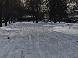 Dearborn Heights residents complain about lack of snow cleanup services