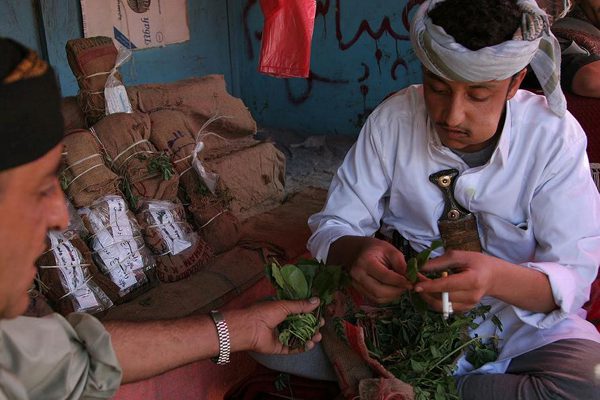 Yemen: A nation chewing itself to death