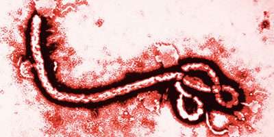 10 being monitored in Michigan for Ebola