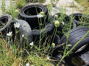 Environmental groups urge defeat of bill defining burning tires as renewable energy