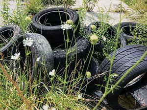 Environmental groups urge defeat of bill defining burning tires as renewable energy