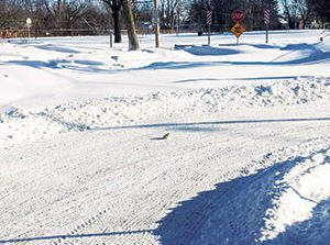 City of Dearborn Heights addresses lack of snow plowing, flood complaints