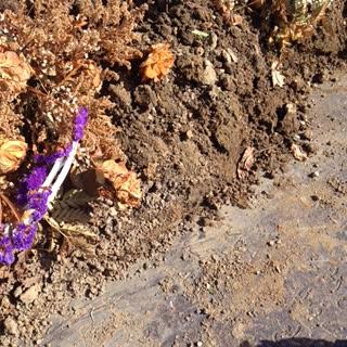 Muslim family is shocked to discover cemetery buried a stranger in their purchased plot