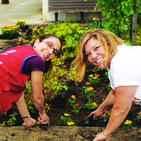 Area organizations join forces to host 11th annual National Arab American Service Day