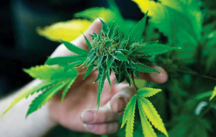 Teen marijuana use in Colorado found lower than national average