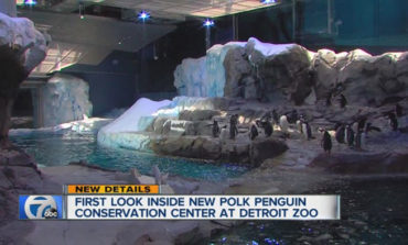 The Detroit Zoo breaks annual attendance record with more than a million visitors