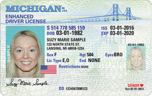 You will need a new Michigan driver's license to fly in 2020