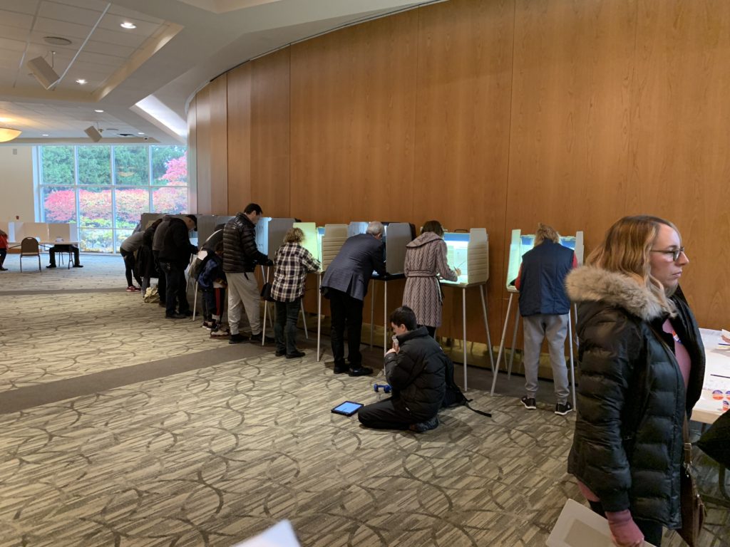 Voters casting their votes for the midterm elections in a precincts in West Bloomfield, Michigan. Photos by The AANews