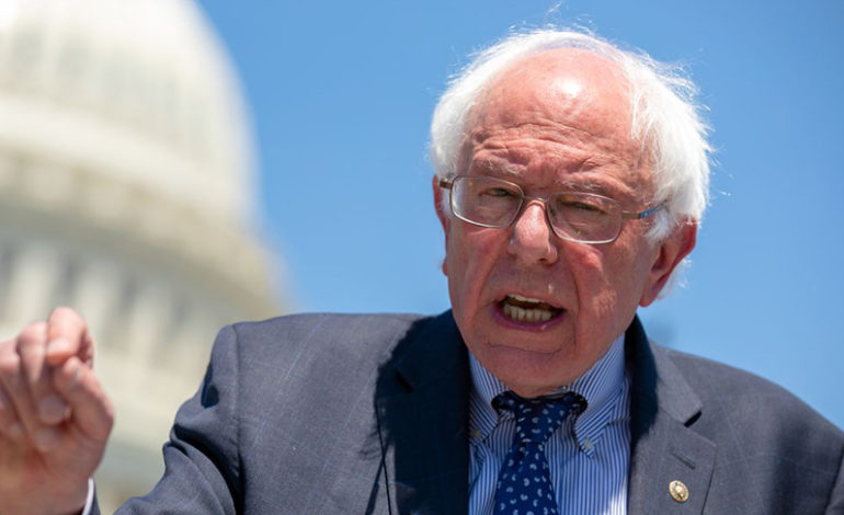 Yemeni caucus endorses Sanders for Democratic nominee