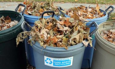 Curbside yard waste pickup begins March 14