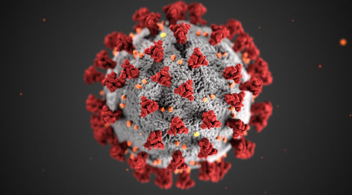Whitmer creates task forces to combat spread of coronavirus