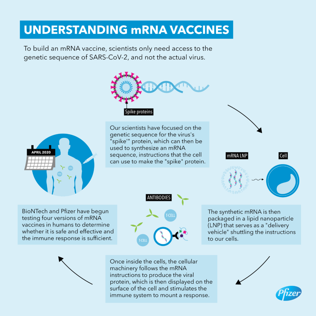 pfizer vaccine production us