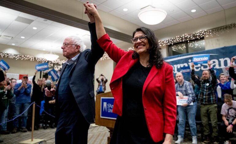 Tlaib casts vote for Sanders, single-payer healthcare, as DNC gets set to nominate Biden