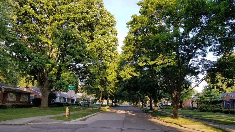 Dearborn continues tradition of being Tree City, USA