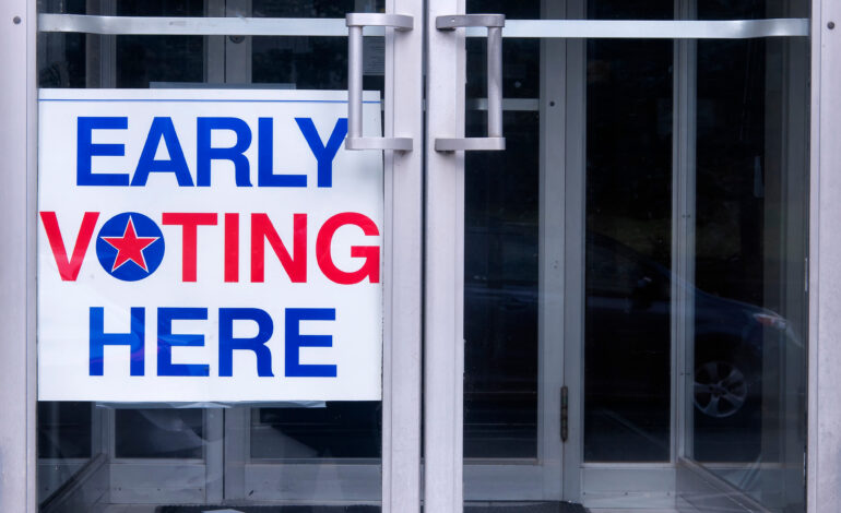 Record-breaking early voting in U.S. election tops 80 million