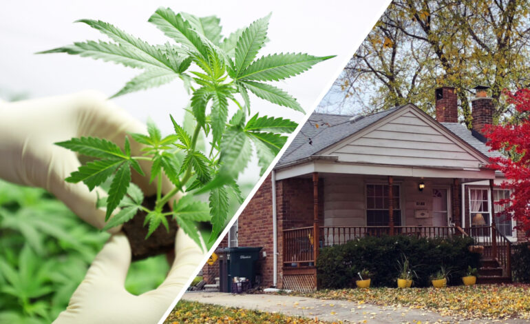 Study shows an increase in home values in states that have legalized marijuana