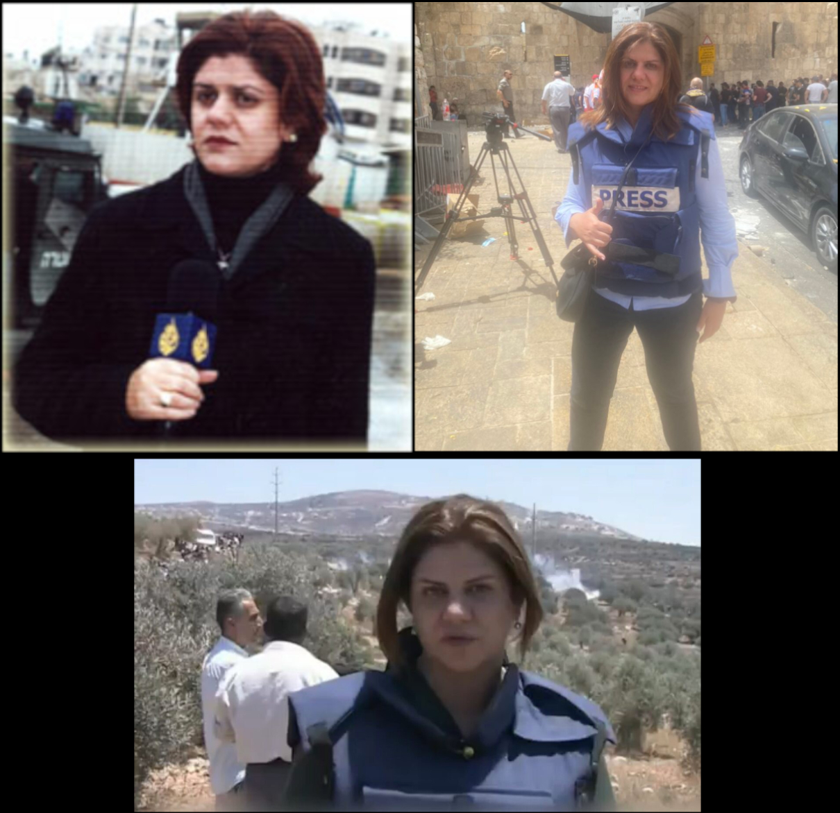 A collage of Shireen Abu Akleh reporting on the field
