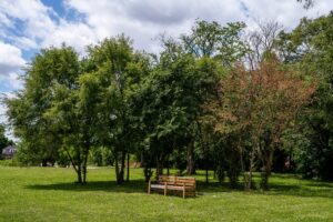 A bench at Bieniek Park