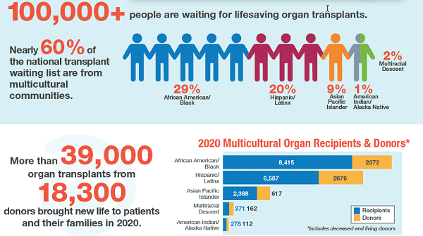 A graphic showing the number of people in need of organ transplants and statistics of recipients and donors by race and nationality