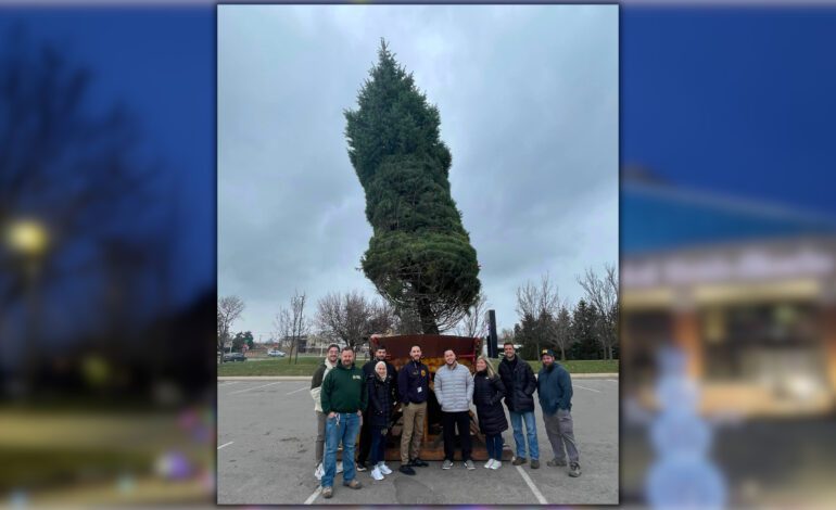 New 30-foot white fir to be unveiled at Dearborn Tree Lighting Ceremony, Nov. 21