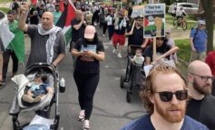Hundreds demonstrate in Dearborn in solidarity with the Palestinian people