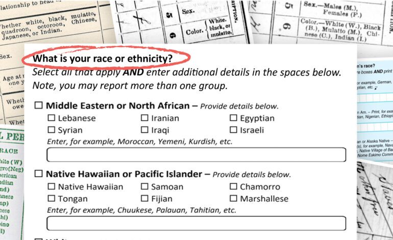 Next U.S. Census will have new boxes for "Middle Eastern or North African", but falls short of capturing diversity