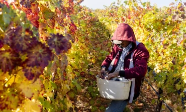 Trump’s promise to deport undocumented immigrants threatens Michigan’s agriculture sector, signals higher prices for fruits and vegetables