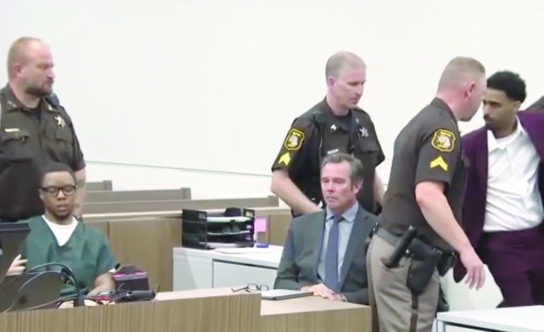 Wayne County Judge sentences “Rouge Reaper” to 75 years for the murder of activist Bushra Mawry