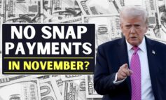 SNAP benefits paused in Michigan in November amid federal government shutdown
