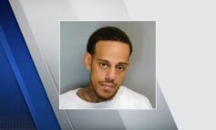 Bird droppings help crack attempted hit on Macomb businessman Eddie Jawad