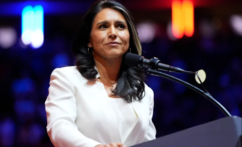 National Intelligence Director Tulsi Gabbard fuels anti-Muslim rhetoric, targets Muslim-majority cities led by Dearborn