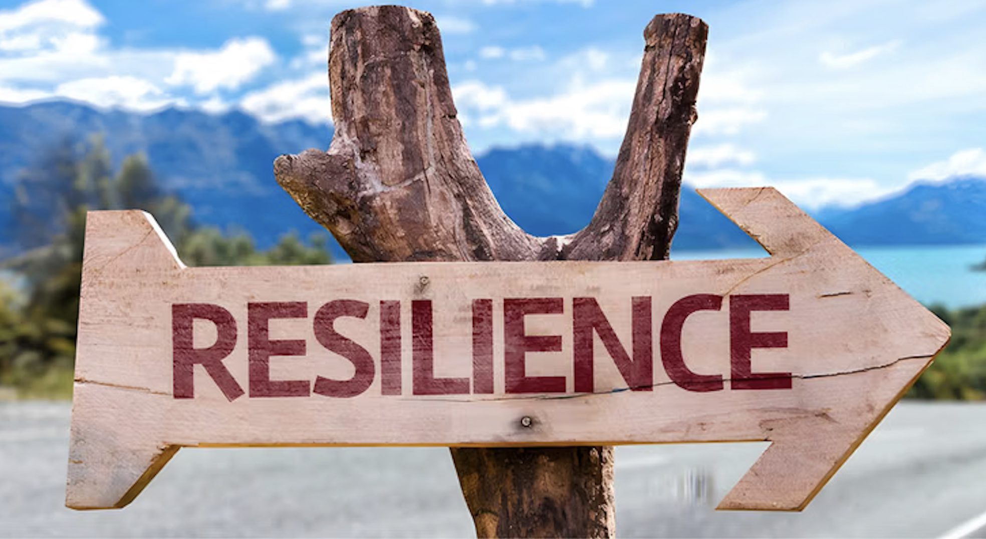 Breakfast, sleep and exercise boost mental resilience, researchers find