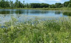 Michigan DNR to auction 97 state-owned properties across Michigan in August