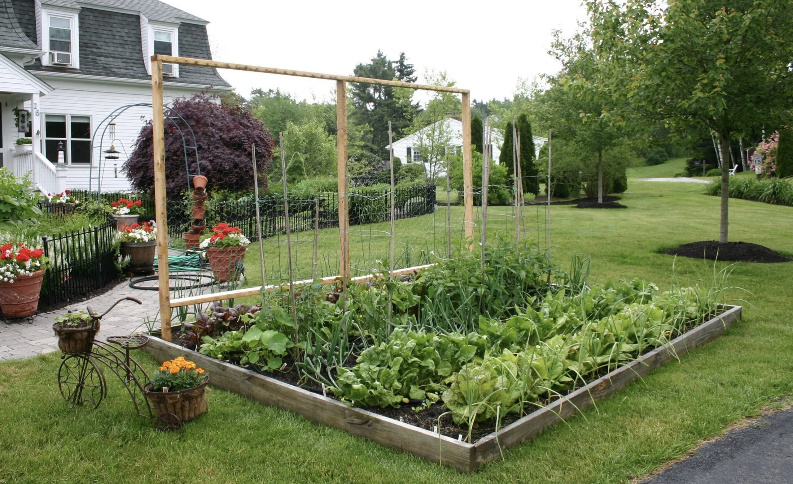 Redford Township approves front-yard vegetable gardens